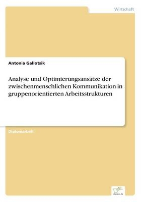 Analyse und Optimierungsansätze der zwischenmenschlichen Kommunikation in gruppenorientierten Arbeitsstrukturen - Antonia Gallotsik