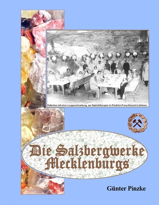 Die Salzbergwerke Mecklenburgs - Günter Pinzke
