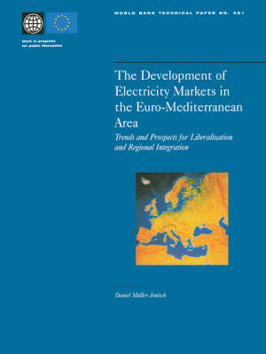 The Development of Electricity Markets in the Euro-mediterranean Area - Daniel Muller-Jentsch