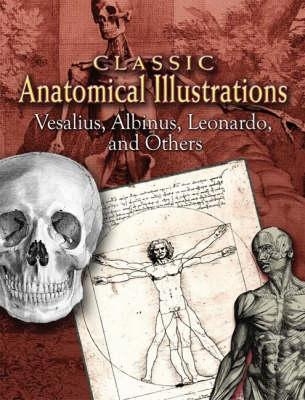 Classic Anatomical Illustrations - Andreas Vesalius; Albinus; Leonardo