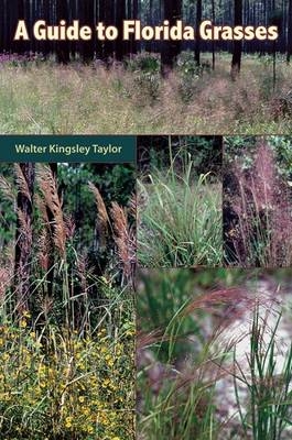 Guide to Florida Grasses - Walter Kingsley Taylor
