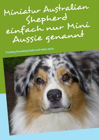 Miniatur Australian Shepherd - Bettina Birkner
