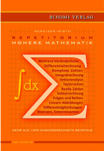 Repetitorium Höhere Mathematik - Gerhard Merziger, Thomas Wirth