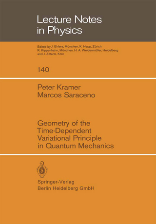 Geometry of the Time-Dependent Variational Principle in Quantum Mechanics - P. Kramer; M. Saraceno