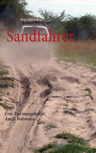 Sandfahrer - Robert Pfrogner