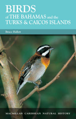 Birds of Bahamas and Turks & Caicos Islands - Bruce Hallett