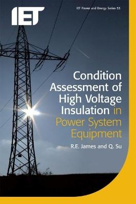 Condition Assessment of High Voltage Insulation in Power System Equipment - R.E. James, Q. Su