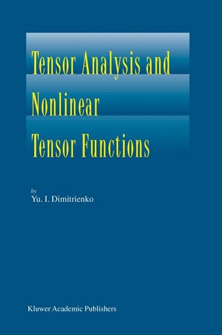 Tensor Analysis and Nonlinear Tensor Functions - Yuriy I. Dimitrienko