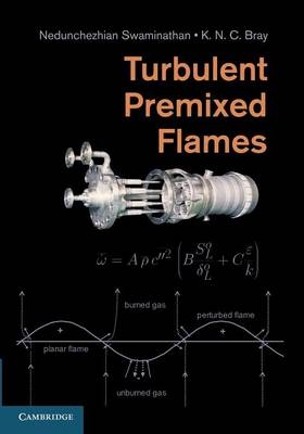 Turbulent Premixed Flames - 