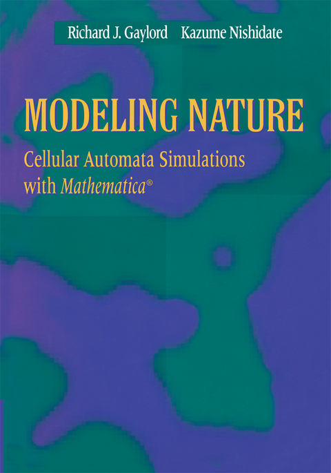 Modeling Nature - Richard J. Gaylord, Kazume Nishidate