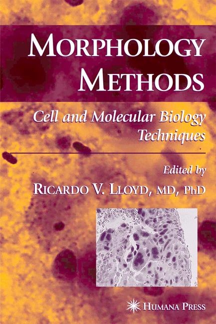 Morphology Methods - 