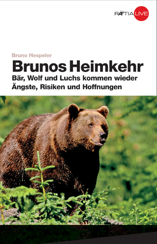 Brunos Heimkehr - Bruno Hespeler