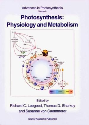 Photosynthesis: Physiology and Metabolism - Susanne von Caemmerer; Richard C. Leegood; Thomas D. Sharkey