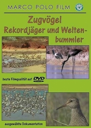 Zugvögel - Rekordjäger und Weltenbummler, 1 DVD
