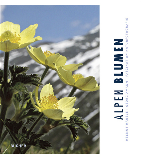 Alpen Blumen - Helmut Häusle, Georg Amann