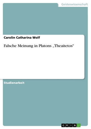 Falsche Meinung in Platons 'Theaitetos' - Carolin Catharina Wolf