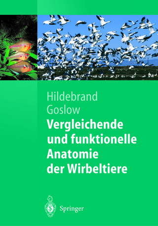 Vergleichende und funktionelle Anatomie der Wirbeltiere - Milton Hildebrand; George Goslow