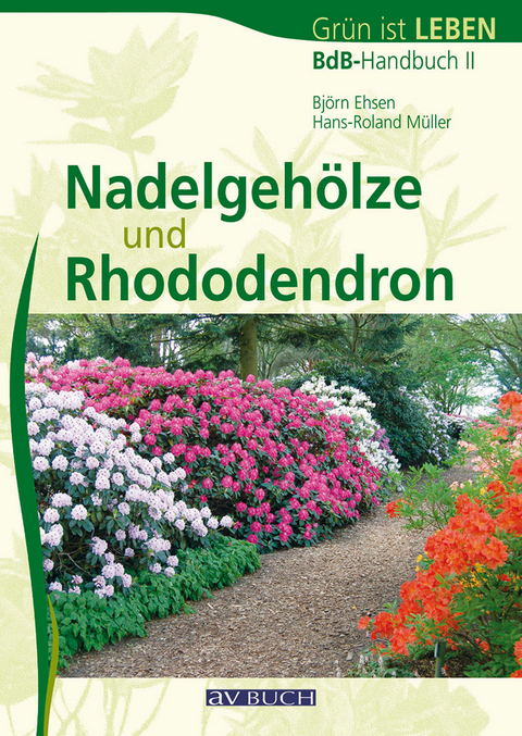 Nadelgehöze und Rhododendron - Björn Ehsen, Hans-Roland Müller