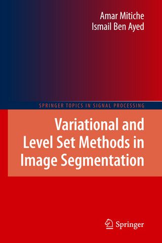 Variational and Level Set Methods in Image Segmentation - Amar Mitiche; Ismail Ben Ayed