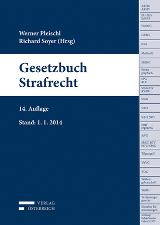 Gesetzbuch Strafrecht - Harald Salzmann; Richard Soyer
