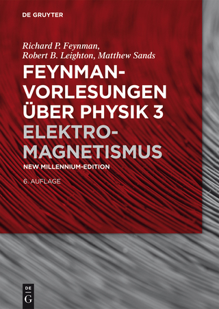 Elektromagnetismus - Richard P. Feynman; Robert B. Leighton; Matthew Sands
