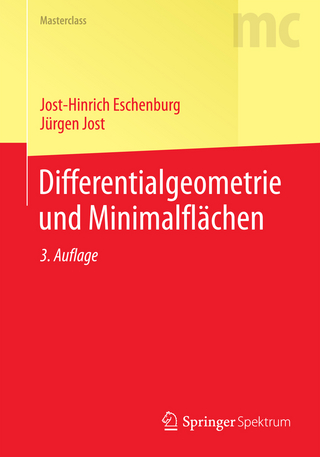 Differentialgeometrie und Minimalflächen - Jost-Hinrich Eschenburg; Jürgen Jost