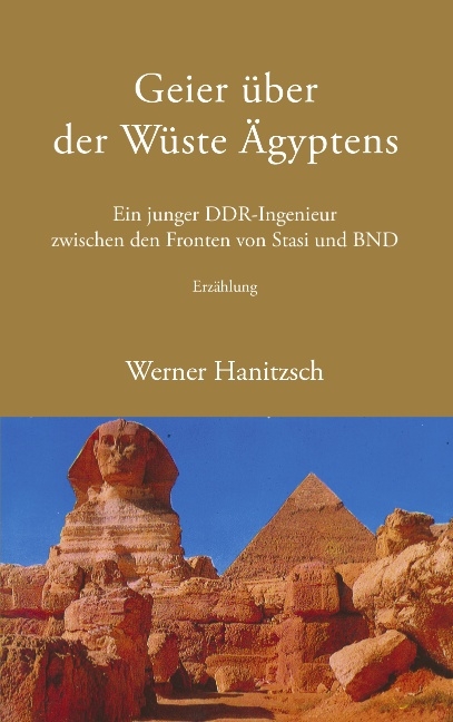 Geier über der Wüste Ägyptens - Werner Hanitzsch