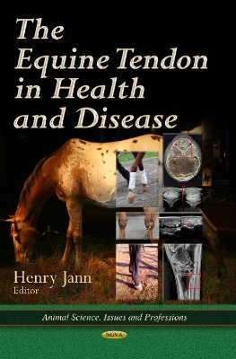 Equine Tendon in Health & Disease - 