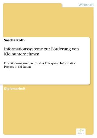 Informationssysteme zur Förderung von Kleinunternehmen - Sascha Koth