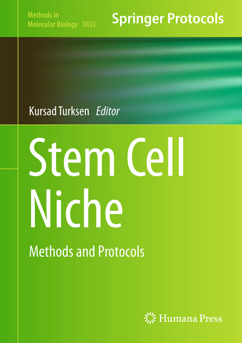 Stem Cell Niche - 