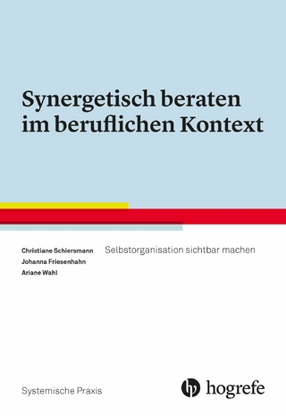 Synergetisch beraten im beruflichen Kontext - Christiane Schiersmann; Johanna Friesenhahn; Ariane Wahl