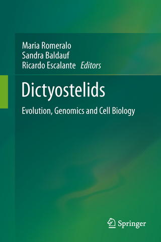 Dictyostelids - Maria Romeralo; Sandra Baldauf; Ricardo Escalante