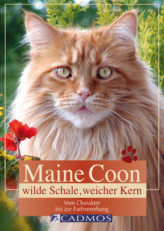 Maine Coon - Wilde Schale weicher Kern - Kerstin Malcus