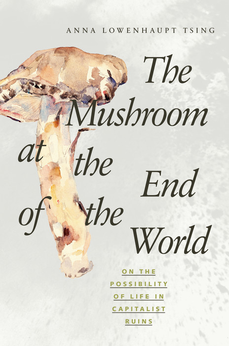 Mushroom at the End of the World -  Anna Lowenhaupt Tsing