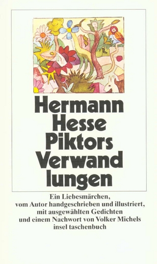 Piktors Verwandlungen - Hermann Hesse