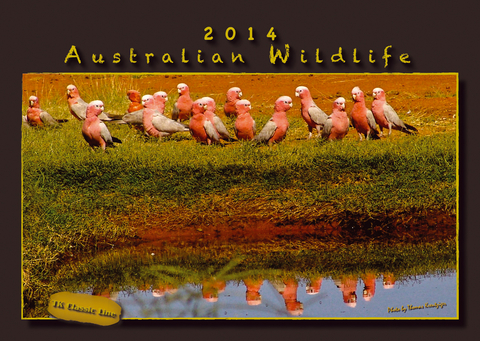 Australian Wildlife - Australische Wildtiere - Thomas Kreutziger