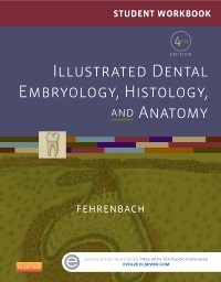 Student Workbook for Illustrated Dental Embryology, Histology and Anatomy - E-Book -  Margaret J. Fehrenbach