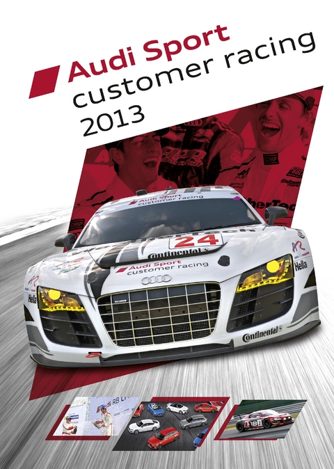 Audi Sport customer racing 2013 - Alexander von Wegner