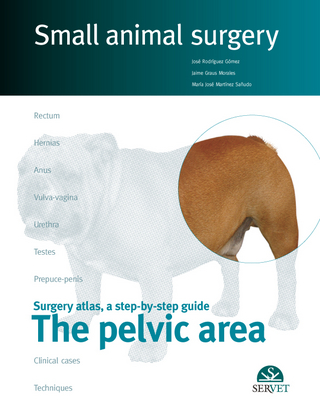 Small Animal Surgery: The Pelvic Area - José Rodriguez Goméz; Jaime Graus Morales; María José Martínez Sañudo