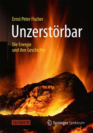 Unzerstörbar - Ernst Peter Fischer