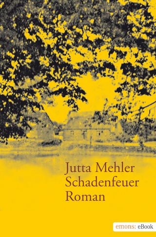 Schadenfeuer - Jutta Mehler