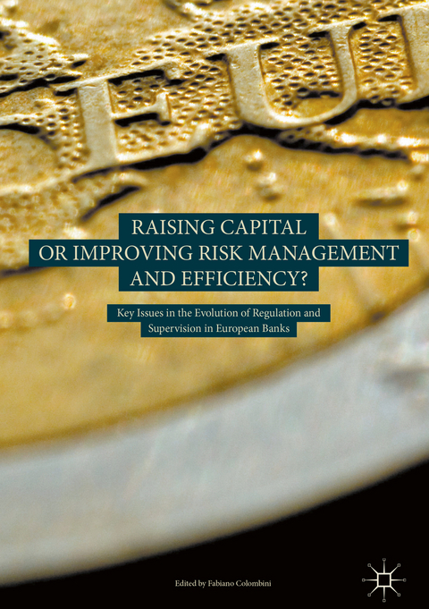 Raising Capital or Improving Risk Management and Efficiency? - 