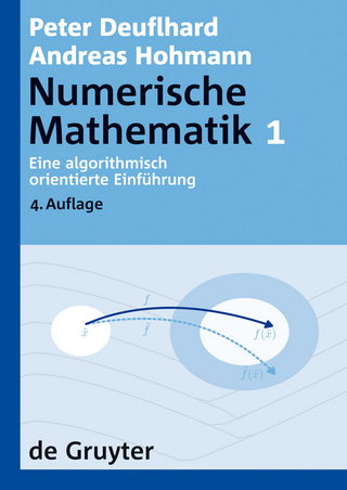 Eine algorithmisch orientierte Einführung - Peter Deuflhard; Andreas Hohmann