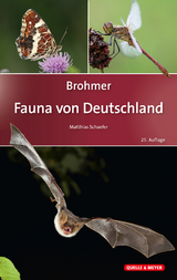 Brohmer – Fauna von Deutschland - Schaefer, Matthias