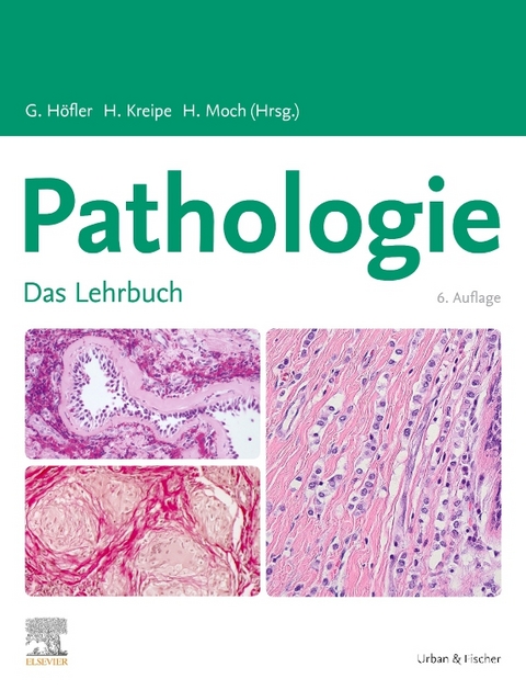 Lehrbuch Pathologie - 