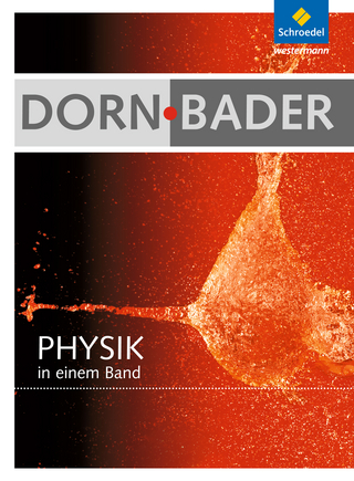 Dorn / Bader Physik in einem Band SI + SII - Allgemeine Ausgabe 2012 - Heinz-Werner Oberholz; Wolfgang Philipp; Wolfgang Salm