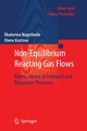 Non-Equilibrium Reacting Gas Flows - Ekaterina Nagnibeda; Elena Kustova