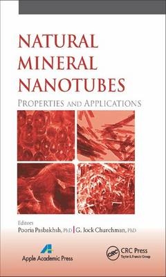 Natural Mineral Nanotubes - 