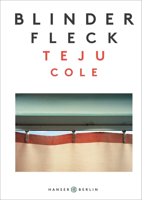 Blinder Fleck - Teju Cole