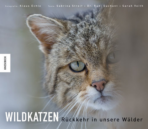 Wildkatzen - 